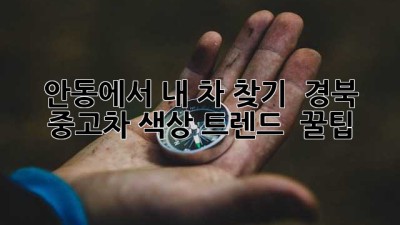 안동에서 내 차 찾기! 🚗 경북 중고차 색상 트렌드 & 꿀팁