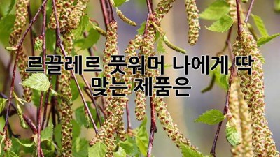 르끌레르 풋워머: 나에게 딱 맞는 제품은?